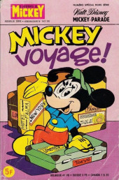 Mickey voyage