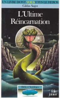 Un livre dont vous êtes le héros