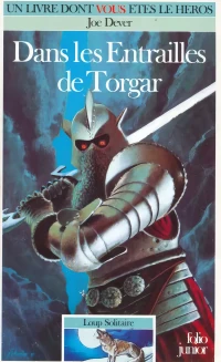 Un livre dont vous êtes le héros